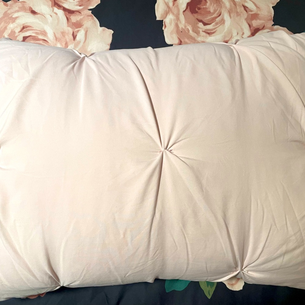 PB Teen Quilted Shams in Blush